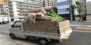 軽トラック積み放題のゴミ回収はお得？どのくらい積める？【不用品処分相場も解説】