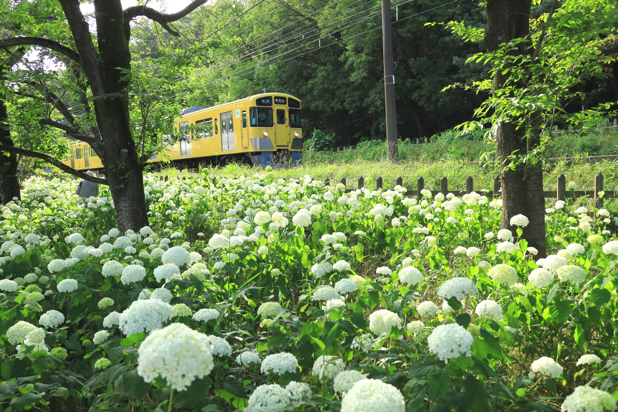 東村山市