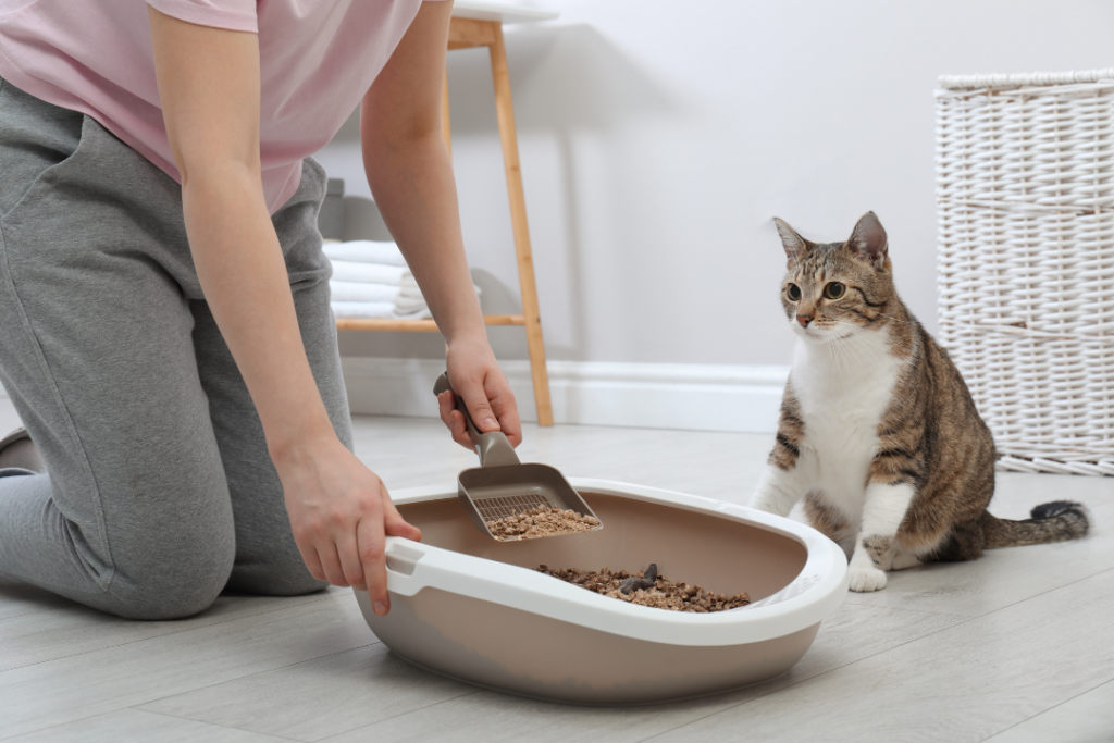 1 猫砂の基本的な捨て方