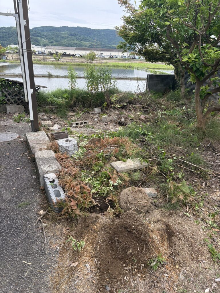 615781612579193335