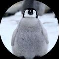 アスカ